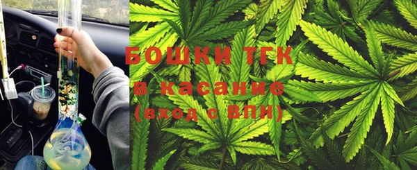 шишки Костерёво