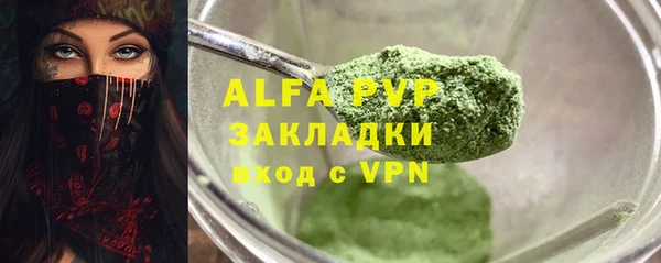 шишки Коряжма