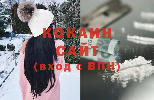 шишки Костерёво