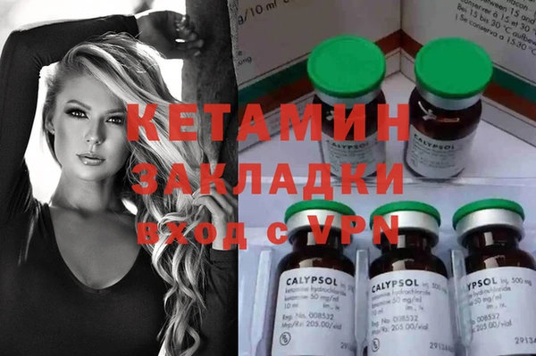 шишки Коряжма