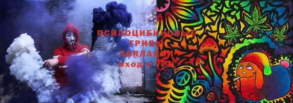 шишки Коряжма