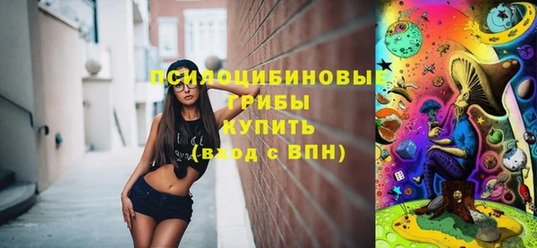 шишки Коряжма