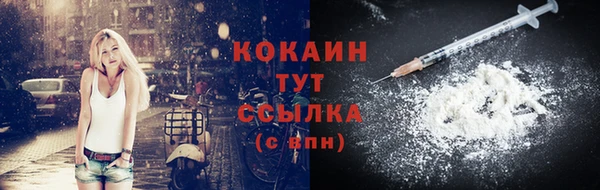 шишки Коряжма