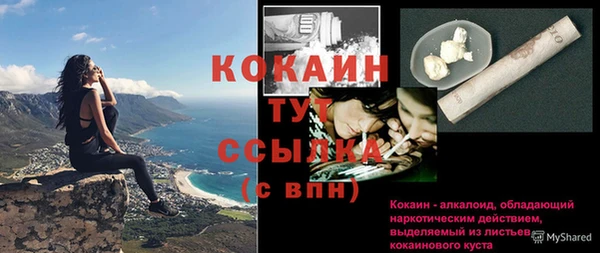 шишки Костерёво