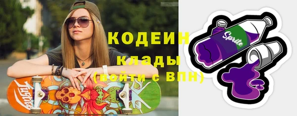 шишки Коряжма