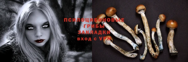 шишки Костерёво