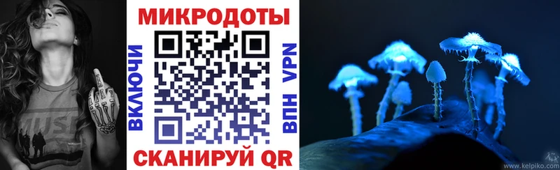 Галлюциногенные грибы Magic Shrooms  Купить закладки  Вытегра 
